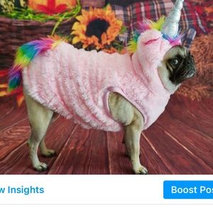 Unicorn pet costume